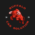 Buffalo Car Solution